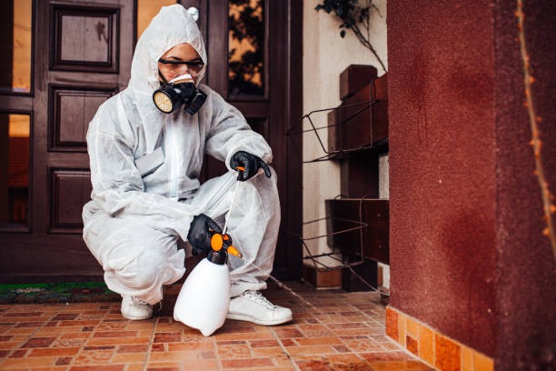 Reliable Ant Control contractor in Simpson, PA by Show Me Pest Control